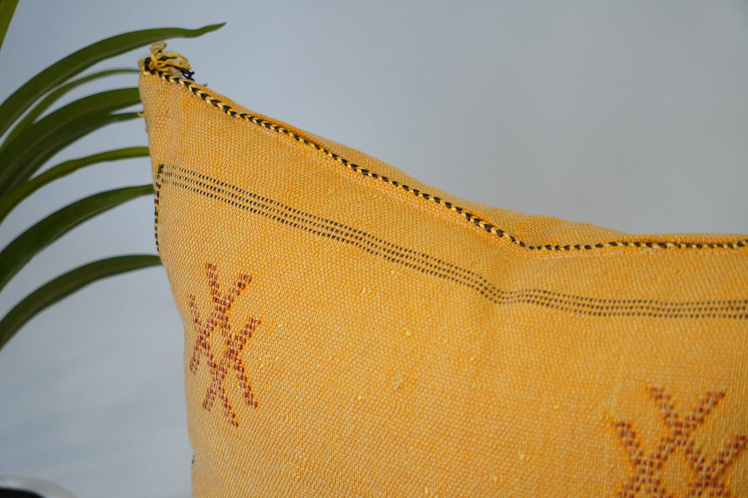 Wonderful Cactus Pillow 18"x18", Decorative pillow, Sabra pillow, Moroccan Throw pillow